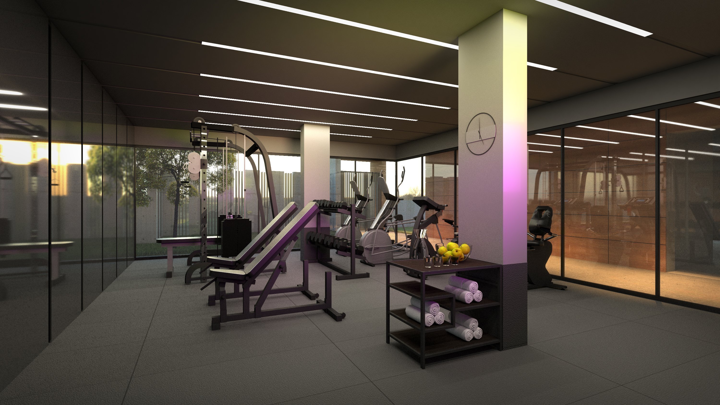 ELITE ZONE GYM