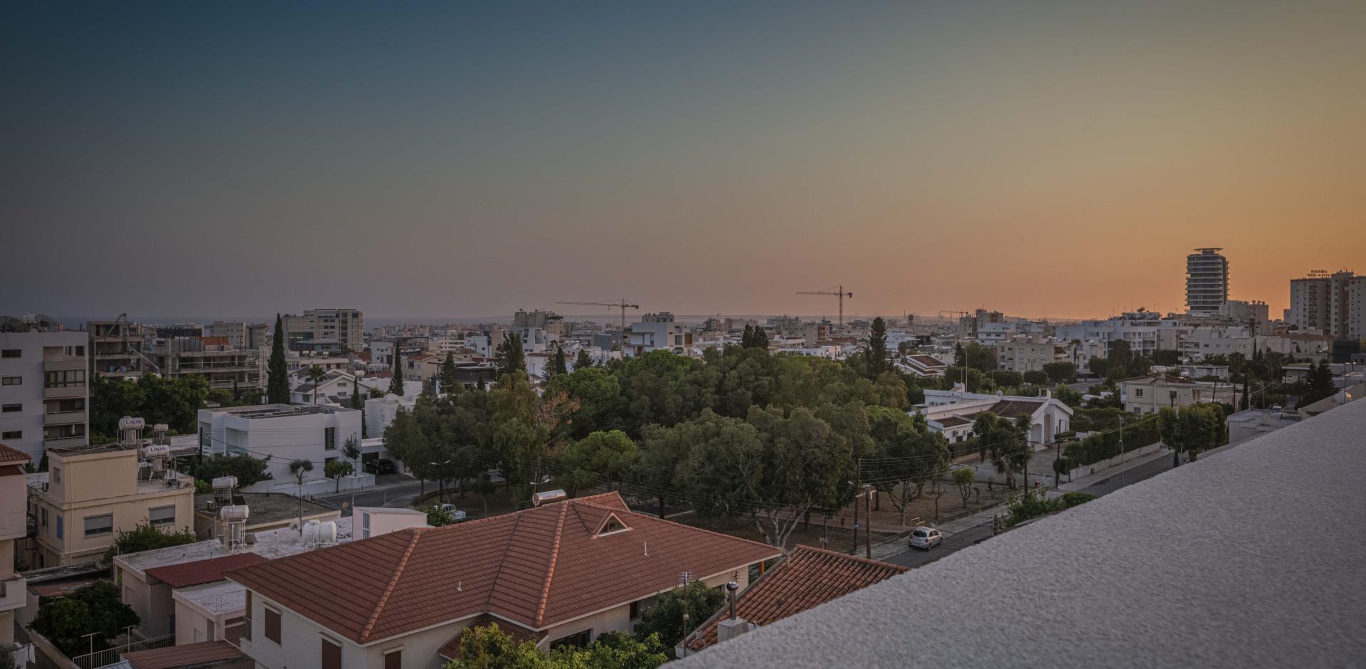 roof garden 