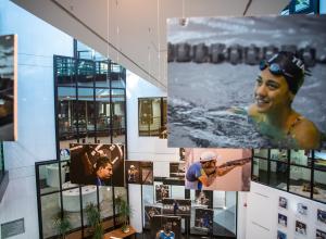 KOA Interior Design Hanging installation