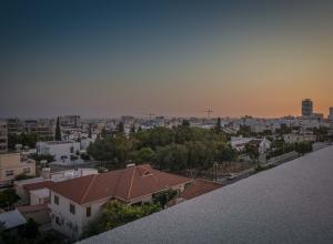roof garden 